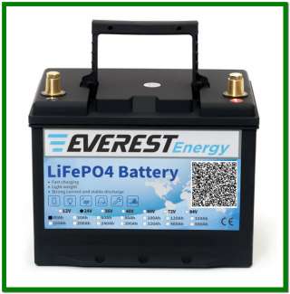 Everest Energy LFP-24V60А