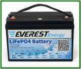 Everest Energy LFP-24V60А