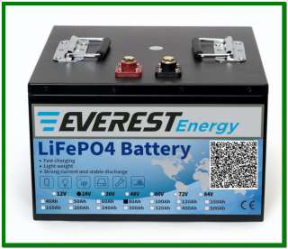 Тяговые литиевые аккумуляторы Everest Energy LFP-24V80А