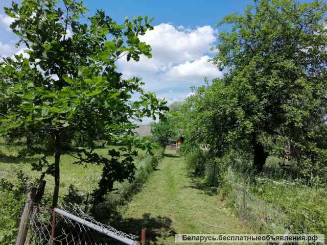 Дом в д.Заболотье