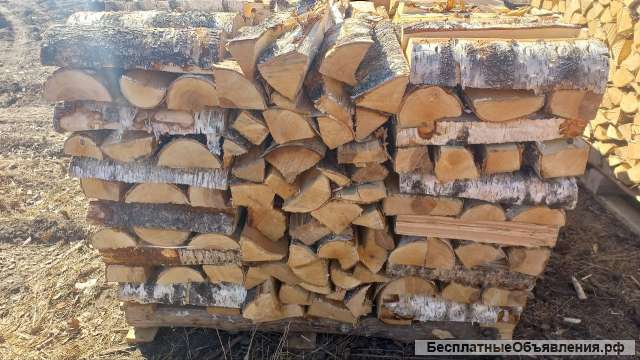 Дрова колотые береза