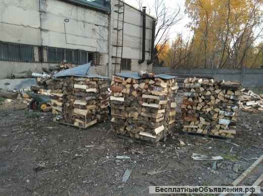 Дрова колотые береза
