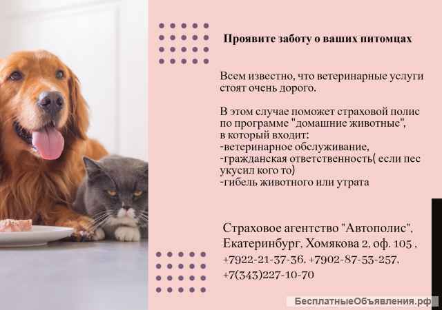 Страховое агентсво "Автополис" Страхование Каско, Осаго, МиниКаско, Имущества, Жизни