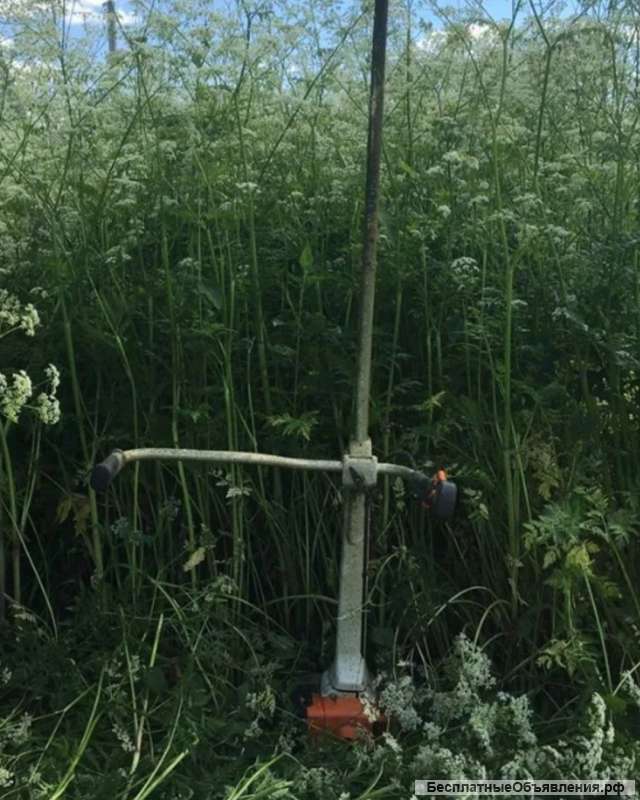 Покос травы кустарника спил деревьев любой сложности в Лунёво, Химки, Солнечногорск, Истра и т.д.