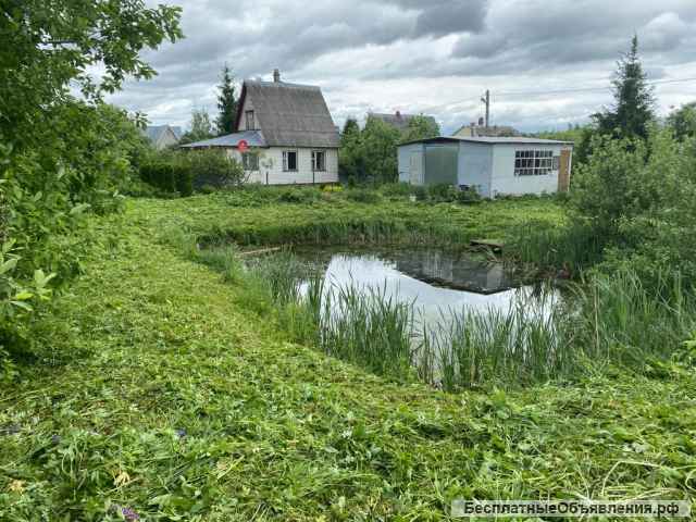 Покос травы кустарника спил деревьев любой сложности в Лунёво, Химки, Солнечногорск, Истра и т.д.
