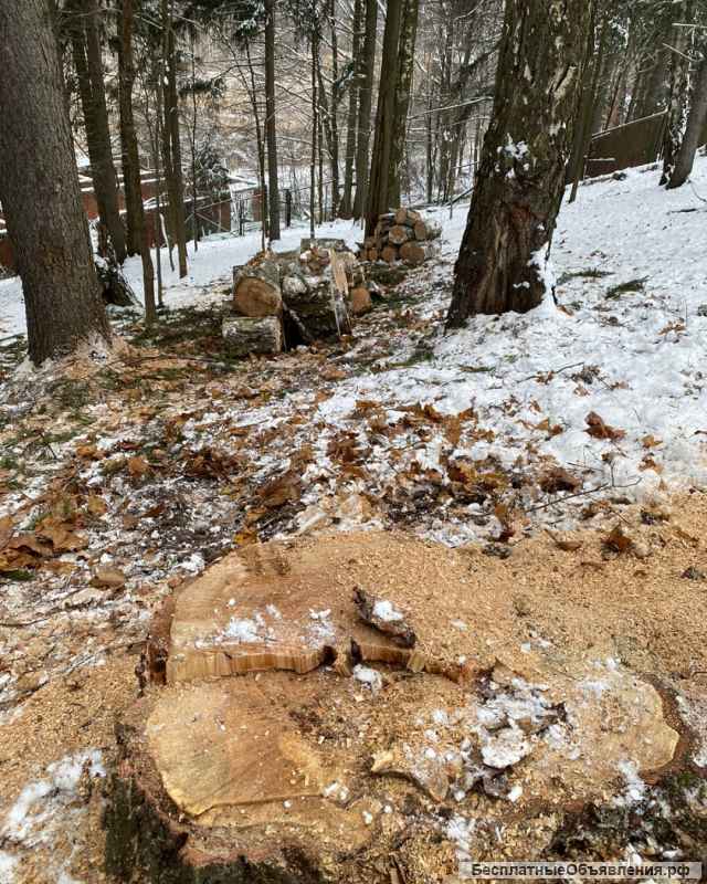 Покос травы кустарника спил деревьев любой сложности в Лунёво, Химки, Солнечногорск, Истра и т.д.