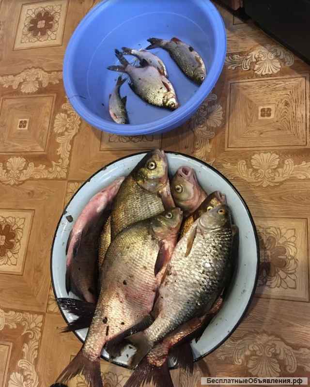 Рыбалка в условиях Дикой Природы на Оке в Калужской области