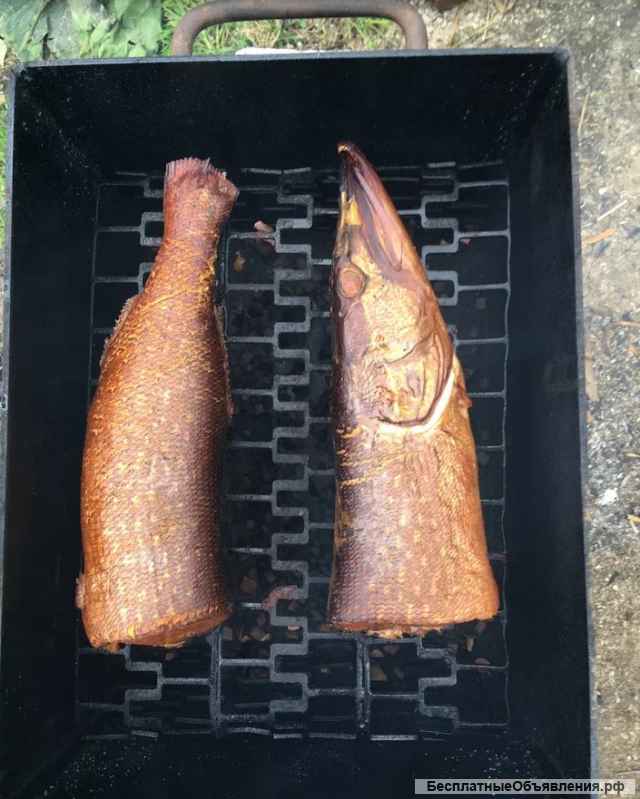 Рыбалка в условиях Дикой Природы на Оке в Калужской области