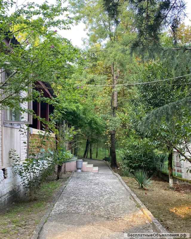 Действующая база отдыха на берегу Черного моря