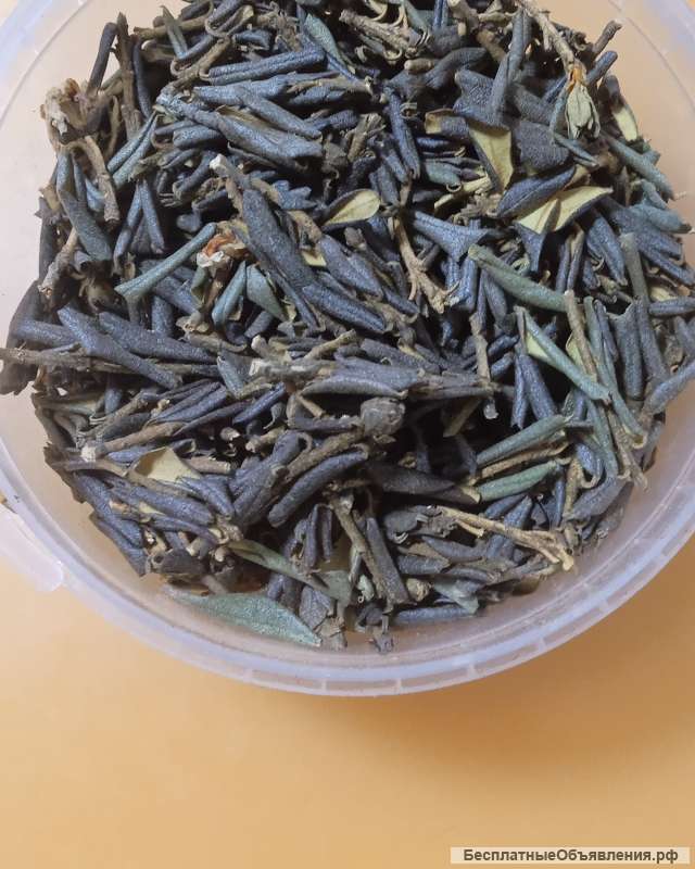 Саган-Дайля из Иркутска