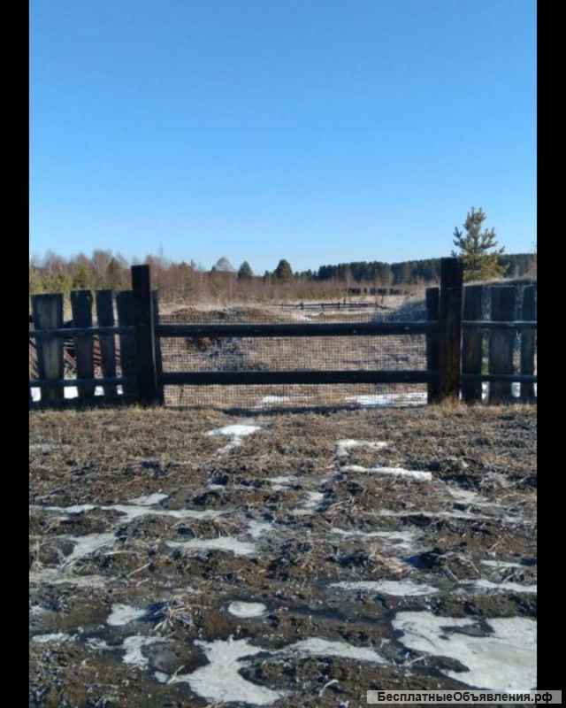 Участок 14 соток, Плишкино