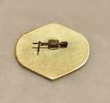 Значок Аэрофлот. Пересекшему экватор.