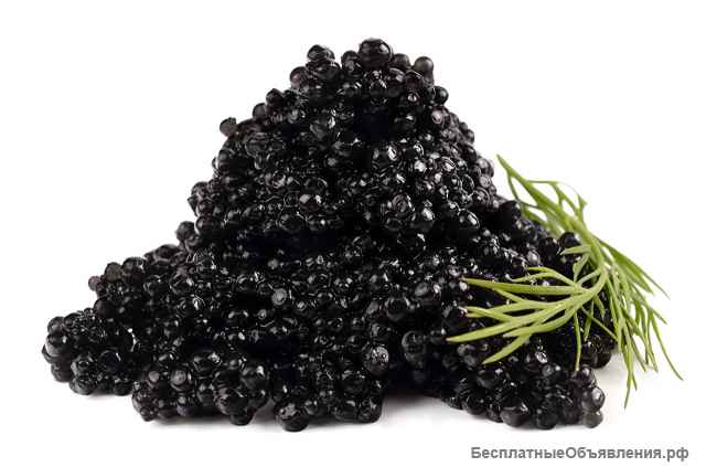 Черная икра премиум качества