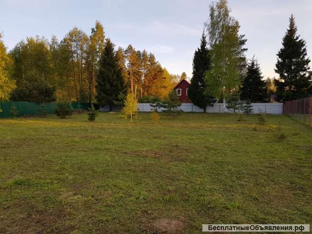 Сосновый участок 17,5 соток