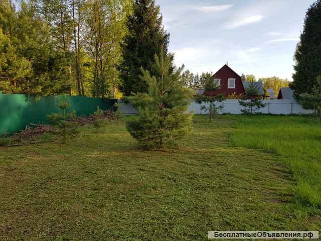 Сосновый участок 17,5 соток