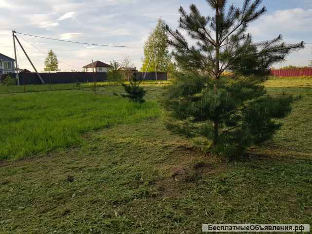 Сосновый участок 17,5 соток