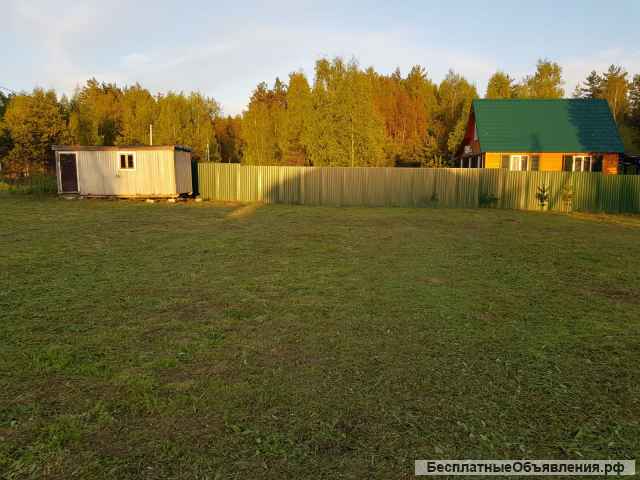 Сосновый участок 17,5 соток