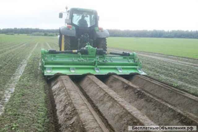 Сельскохозяйственное производство