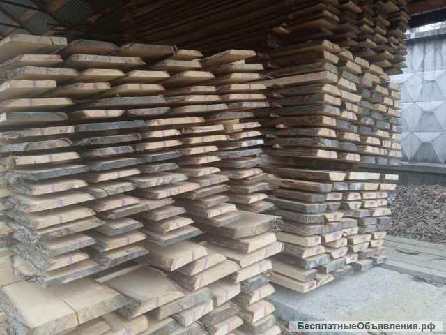 Лиственница, береза, липа необрезная