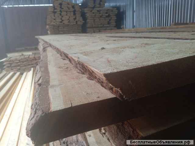 Лиственница, береза, липа необрезная