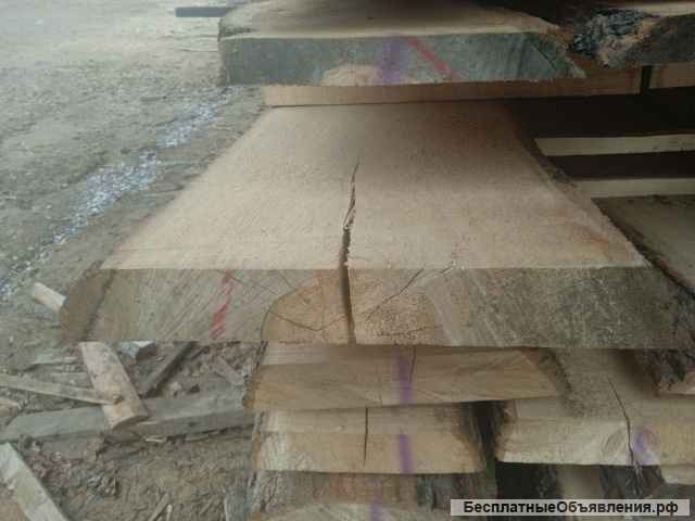 Лиственница, береза, липа необрезная