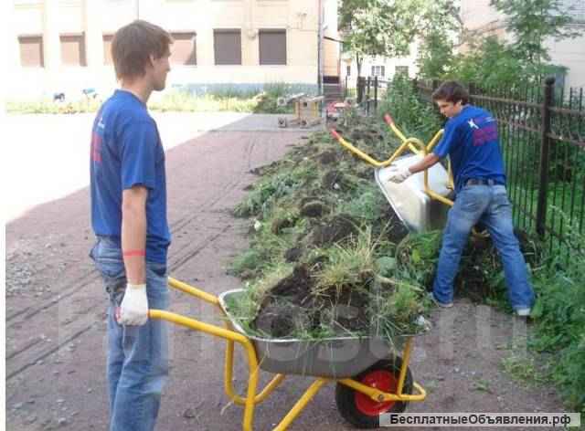Подсобники, разнорабочие, клининг, демонтаж, благоустройство, садовые услуги