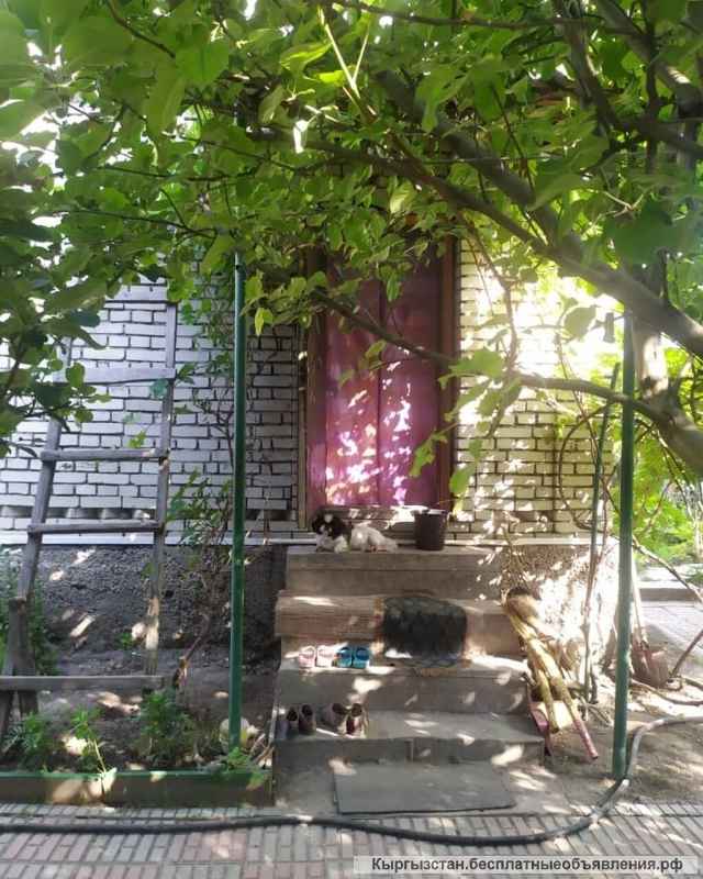 Дом 3 комнаты 37 м² Старый ремонт С мебелью