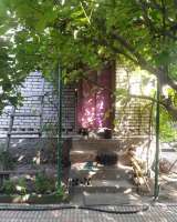 Дом 3 комнаты 37 м² Старый ремонт С мебелью