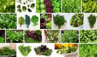 Микрозелень