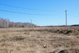 Земельный участок в районе Гилевской рощи