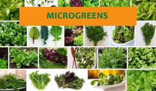 Microgreens