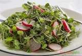 Microgreens