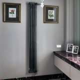 Радиатор вертикальный Zehnder Completto 3180 TL