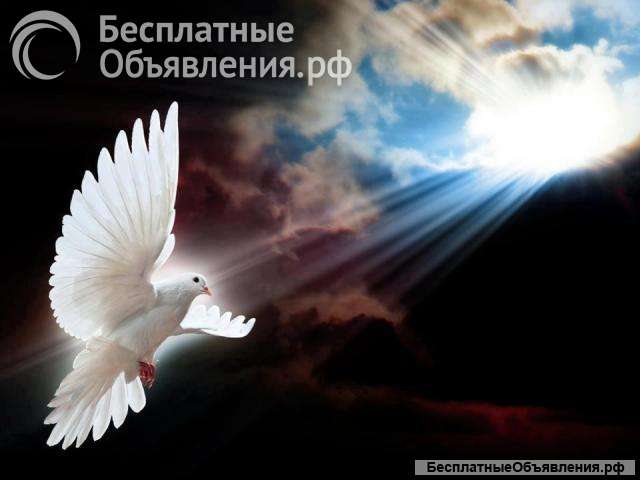 Курс в записи Активация Тело Света - трансформация чакр в Свет