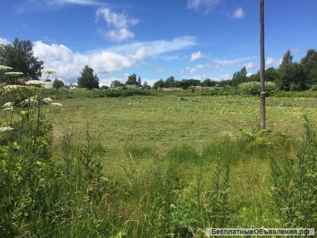 Участок 16 соток в дер. Лихачёво