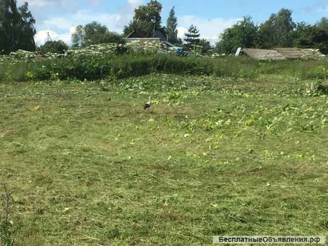 Участок 16 соток в дер. Лихачёво