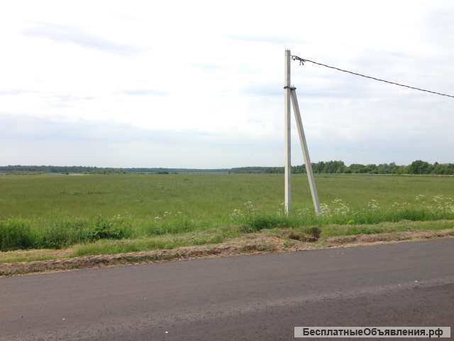 Участок 2,75 гектара (275 соток)