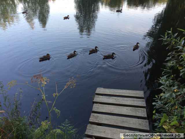 Новый Дом 150м2 с мебелью