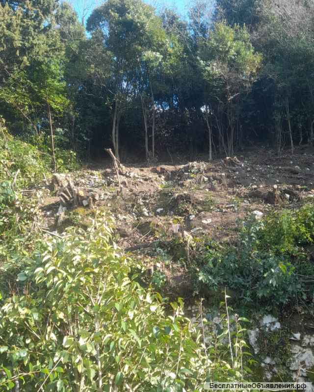 Земельные участки, дома