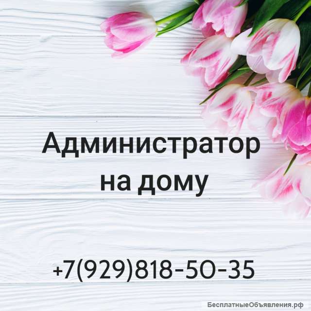 Администратор на дому