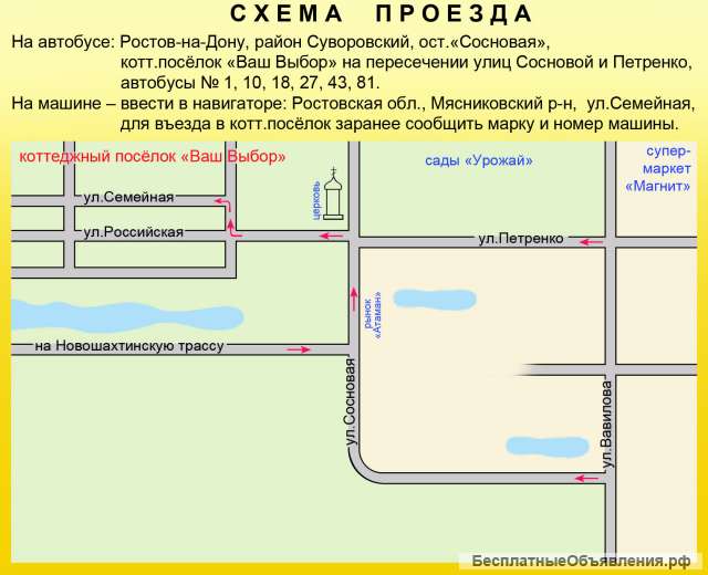 Виноград саженец куст Мускат