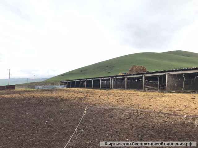 Кошара 2 сарая