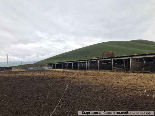 Кошара 2 сарая