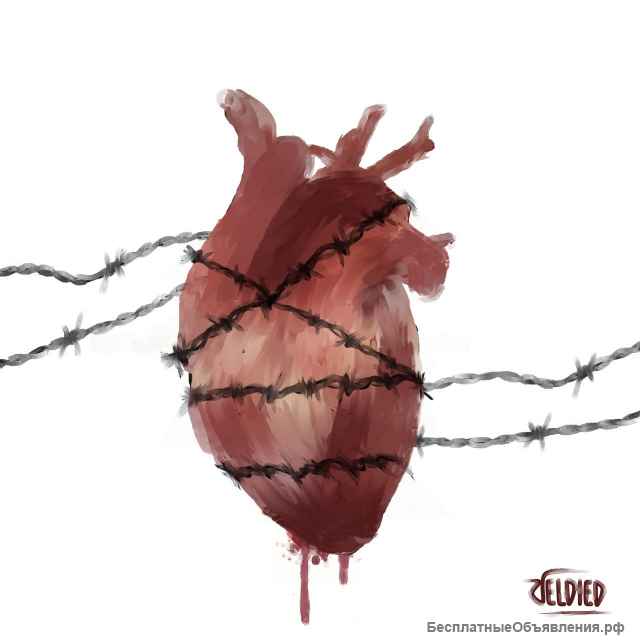 Иллюстрации и графическое оформление