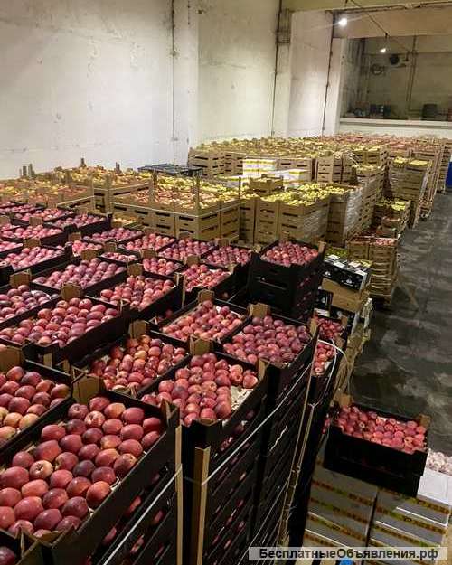 Яблоки оптом в Новосибирске от прямого поставщика