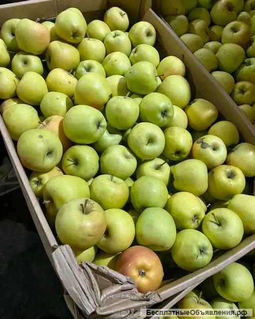 Яблоки оптом в Новосибирске от прямого поставщика