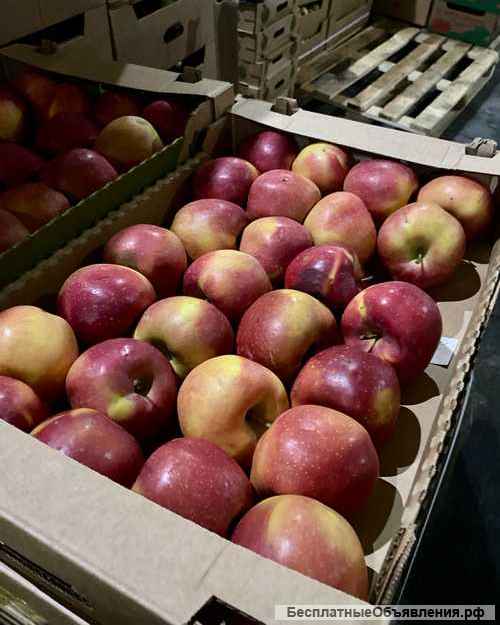Яблоки оптом в Новосибирске от прямого поставщика