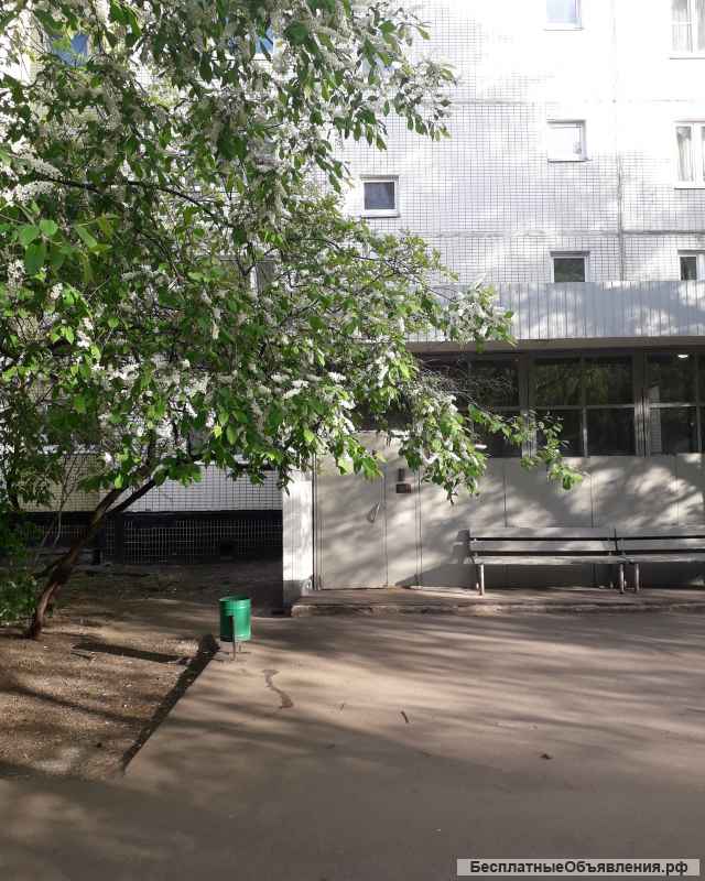 1 комн.метро Первомайская