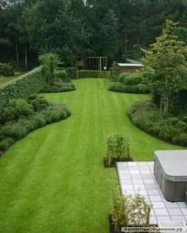 Системы автополива и укладка газона