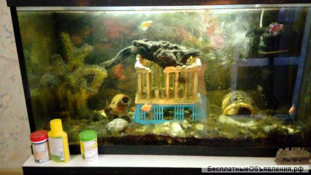 АКВАРИУМ 110 литров
